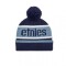 GORRO ETNIES STENCIL POM BEANIE Blue