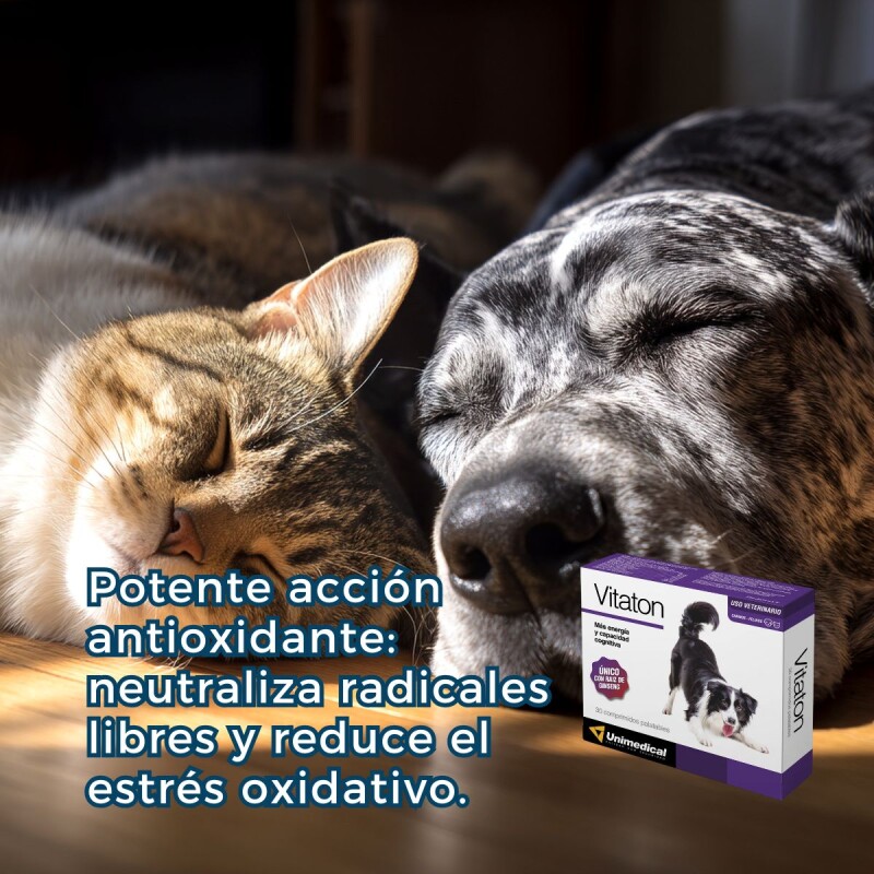 VITATON SUPLEMENTO ENERGIZANTE Y COGNITIVO X BLISTER DE 5 COMPRIMIDOS