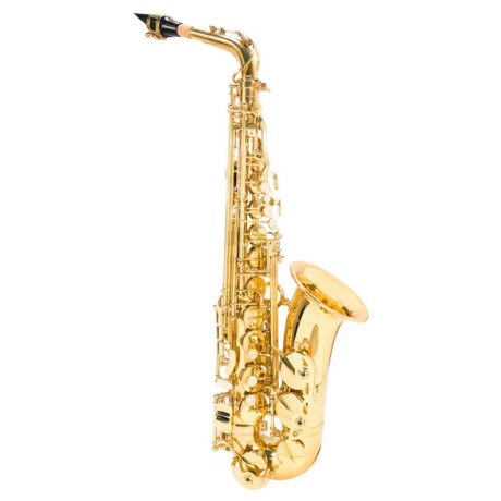 Saxo Alto Memphis Ft6430l