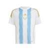 REMERA adidas PITCH 2 STREET MESSI white/semi blue burst