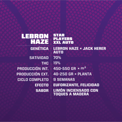 AUTO - LEBRON HAZE X4 UNIDADES