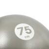 Pelota De Pilates Reebok 75Cm Gris C/Negro Gris
