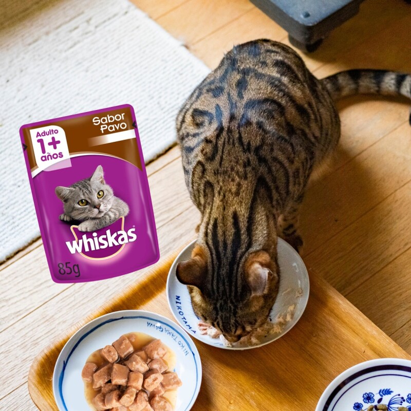 WHISKAS EN SALSA CAJA 12 UNIDADES PAVO