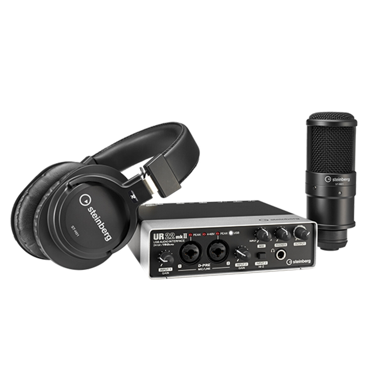 Interfaz De Audio Steinberg Ur22 R Pack Con Mic Y Auric 
