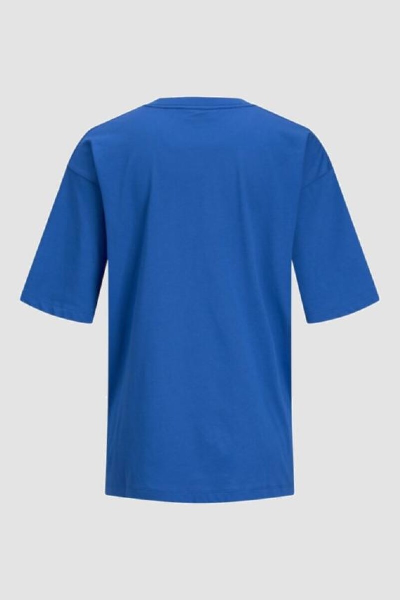 Camiseta Andrea Con Estampa. Blue Iolite