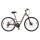 Bicicleta Urbana S-PRO Discovery Lady Rodado 700c con 21 Velocidades COBRE METALIZADO