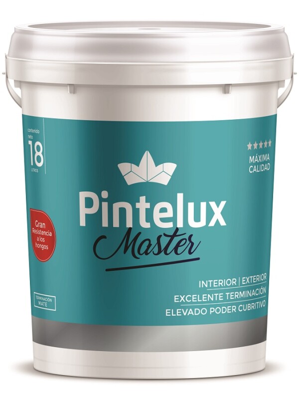MASTER SUPER LAVABLE MATE ANTIBACTERIAL 18 LT. N/A
