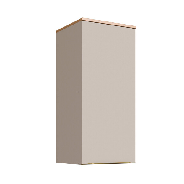 Aéreo Everest 0,40 m con 1 puerta Color: Carvalho/Panna Aéreo Everest 0,40 M Con 1 Puerta Color: Carvalho/panna