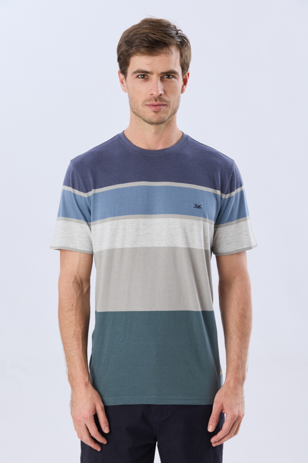 REMERA RAYADA DE ALGODÓN Azul