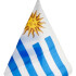 Bandera Banderin Uruguay Auto 30cm X 45cm Oficial Calidad Bandera Banderin Uruguay Auto 30cm X 45cm Oficial Calidad