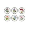 PORTMEIRION BOT GARDEN PLATO POSTRE 20 CM SET x 6 PORTMEIRION BOT GARDEN PLATO POSTRE 20 CM SET x 6