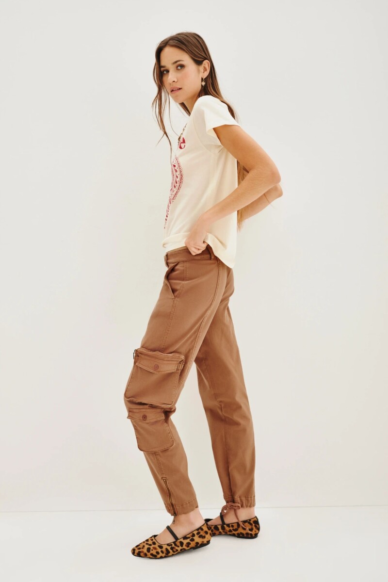 PAN VIETNAM Camel