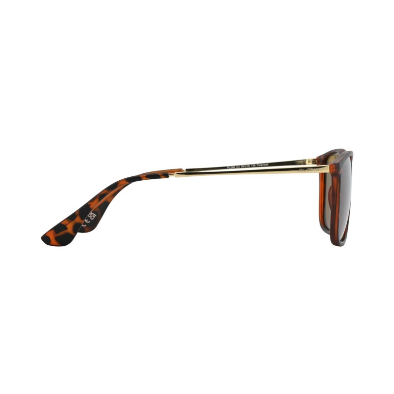 Lentes de Sol Bloom polarizados y protección UV PL246 C3