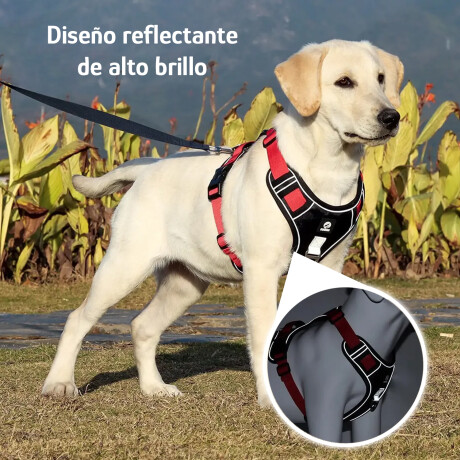Arnés Y Correa Nylon 1.5m Reforzado Ajustable Negro/rojo