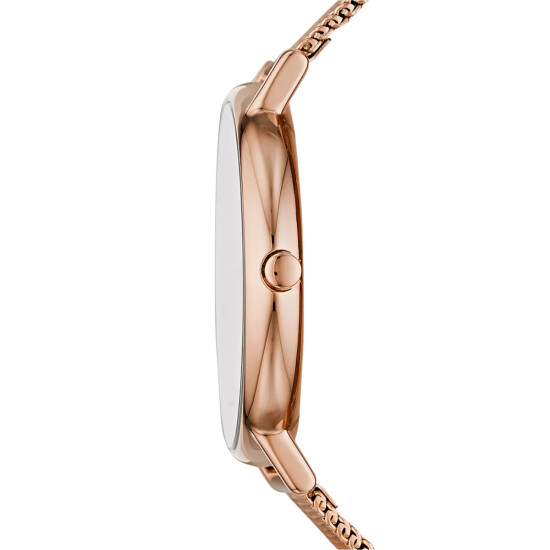Reloj SKAGEN SIGNATUR Acero Oro Rosa Esfera 38mm 0