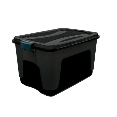 Caja Organizadora Plástica Con Tapa Apilable Uso General Negro
