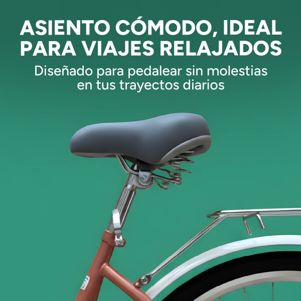 Bicicleta BDF Paseo Urbana Rodado 26 " Canasto Freno V-Brake Rosa 1