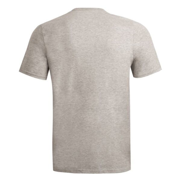 Remera Adidas Graphic Dynamic Gris