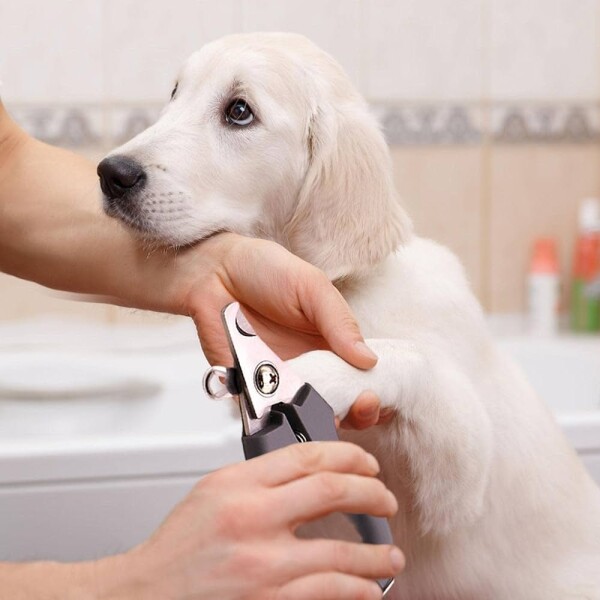 Corta Uñas Para Perro Gato Pinza Mascotas Higiene Con Lima Color Variante Verde Agua