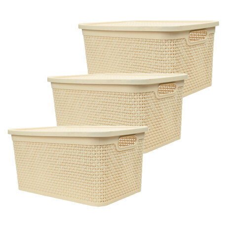 Set x3 Caja simil ratán 15 lts 39x26x19 cm BEIGE