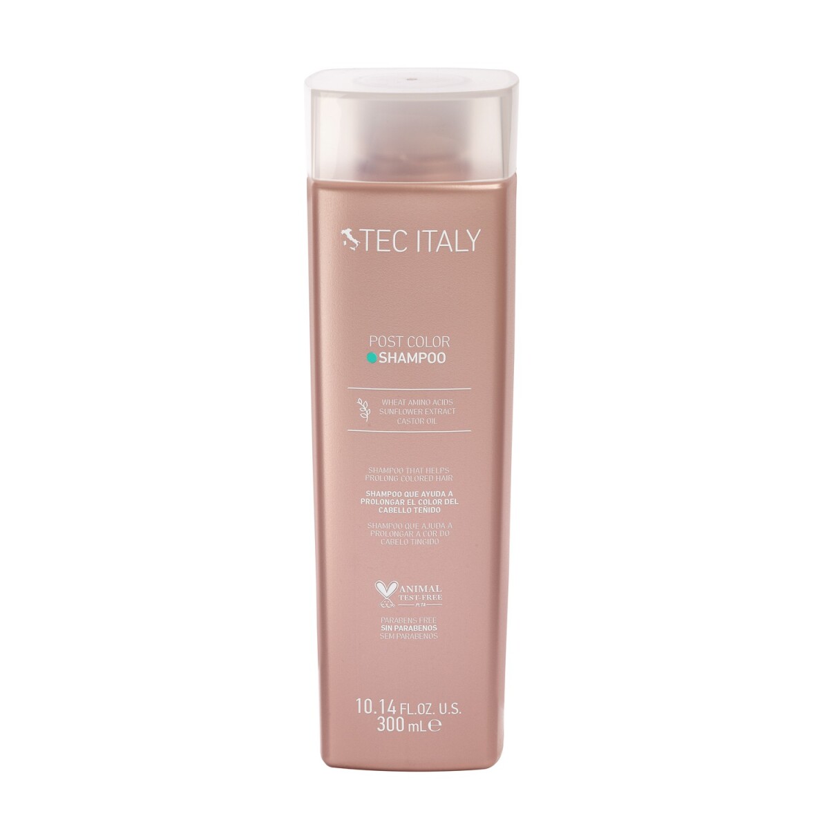 Shampoo Post Color 300ml - 300ml 
