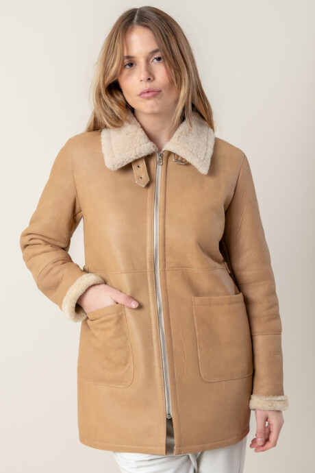 Borrego sabina Camel