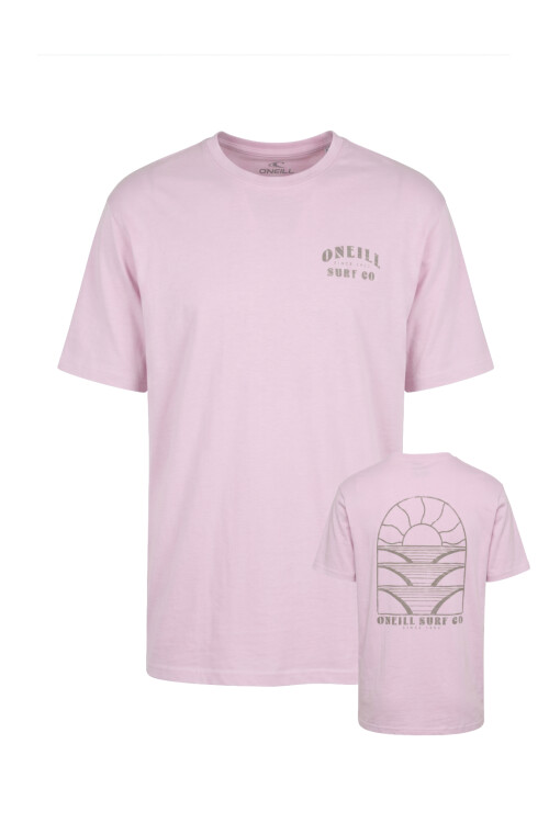 Remera O'Neill Overzized Boxy Horizon Rosa
