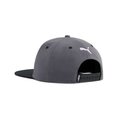Gorra Puma Essentials N°1 Flat Brim 04