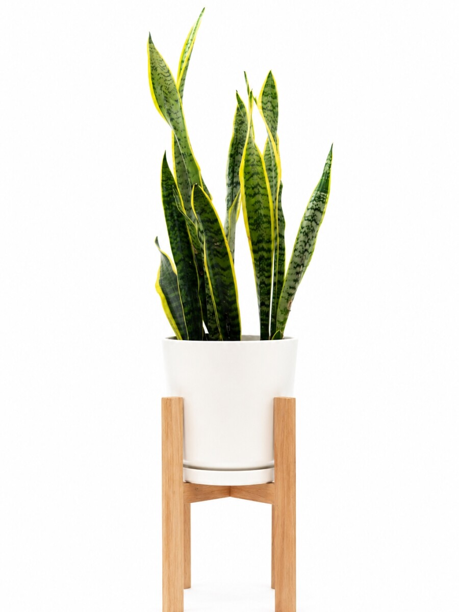 MACETA CERAMICA GRANDE CON SOPORTE BAJA BLANCA