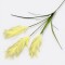 Rama Tres Plumerillos Estepa Amarillo Claro