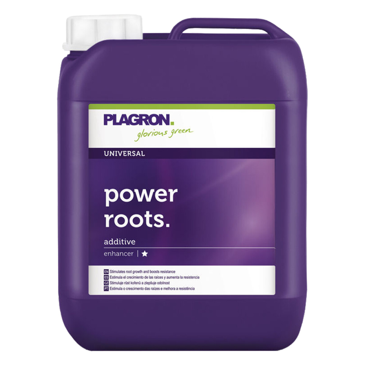 POWER ROOTS PLAGRON - 5L 