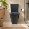 Inodoro largo con mochila VIP Negro Mate 70X36.50X83cm Inodoro Largo Con Mochila Vip Negro Mate 70x36.50x83cm