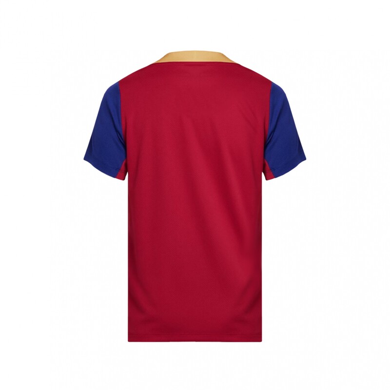 REMERA BARCELONA FC STRIKE Red/Yellow/Blue