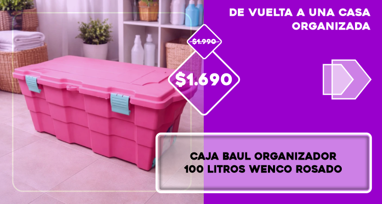 Caja Organizadora Robusta