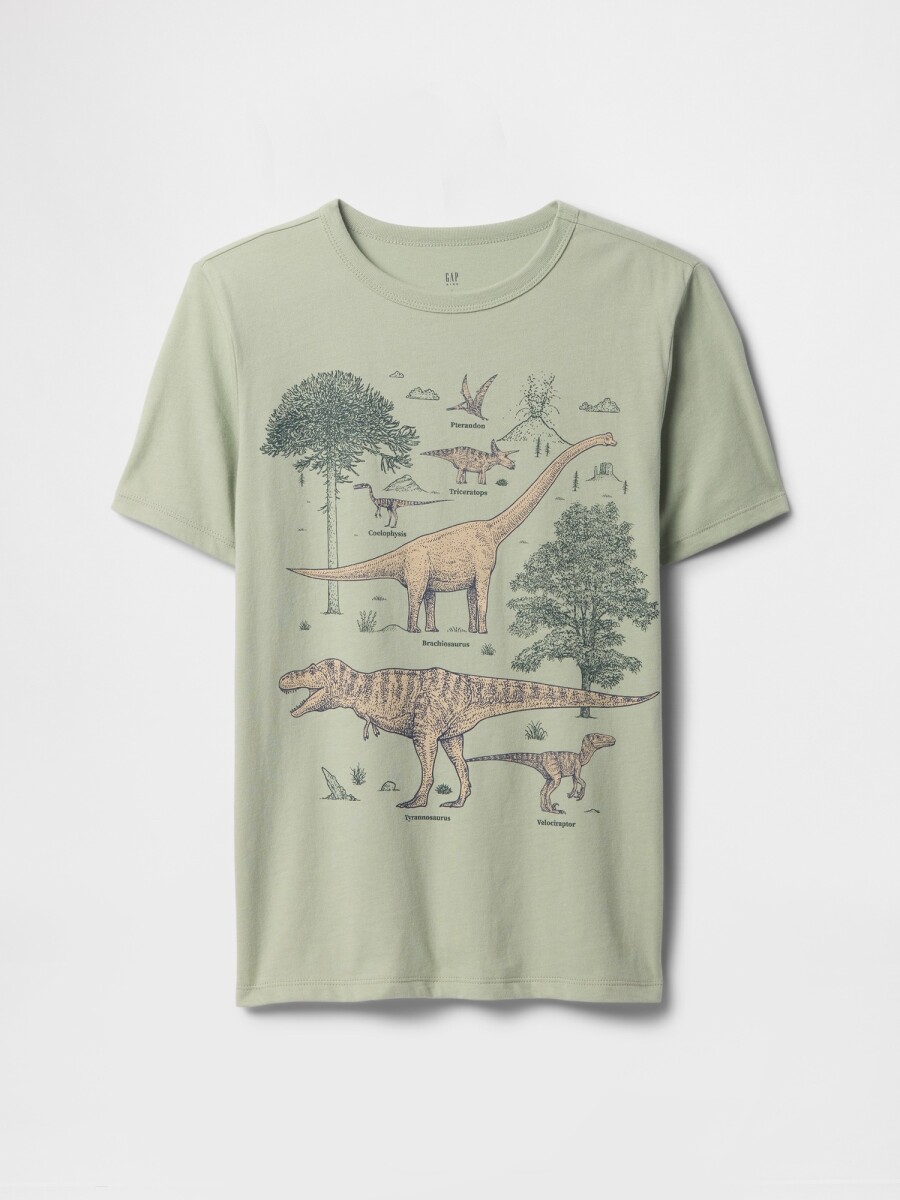 Remera Gráfico Niño - Desert Sage 