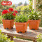 Set x3 maceta mediana cuadrada 4,3 lts TERRACOTA