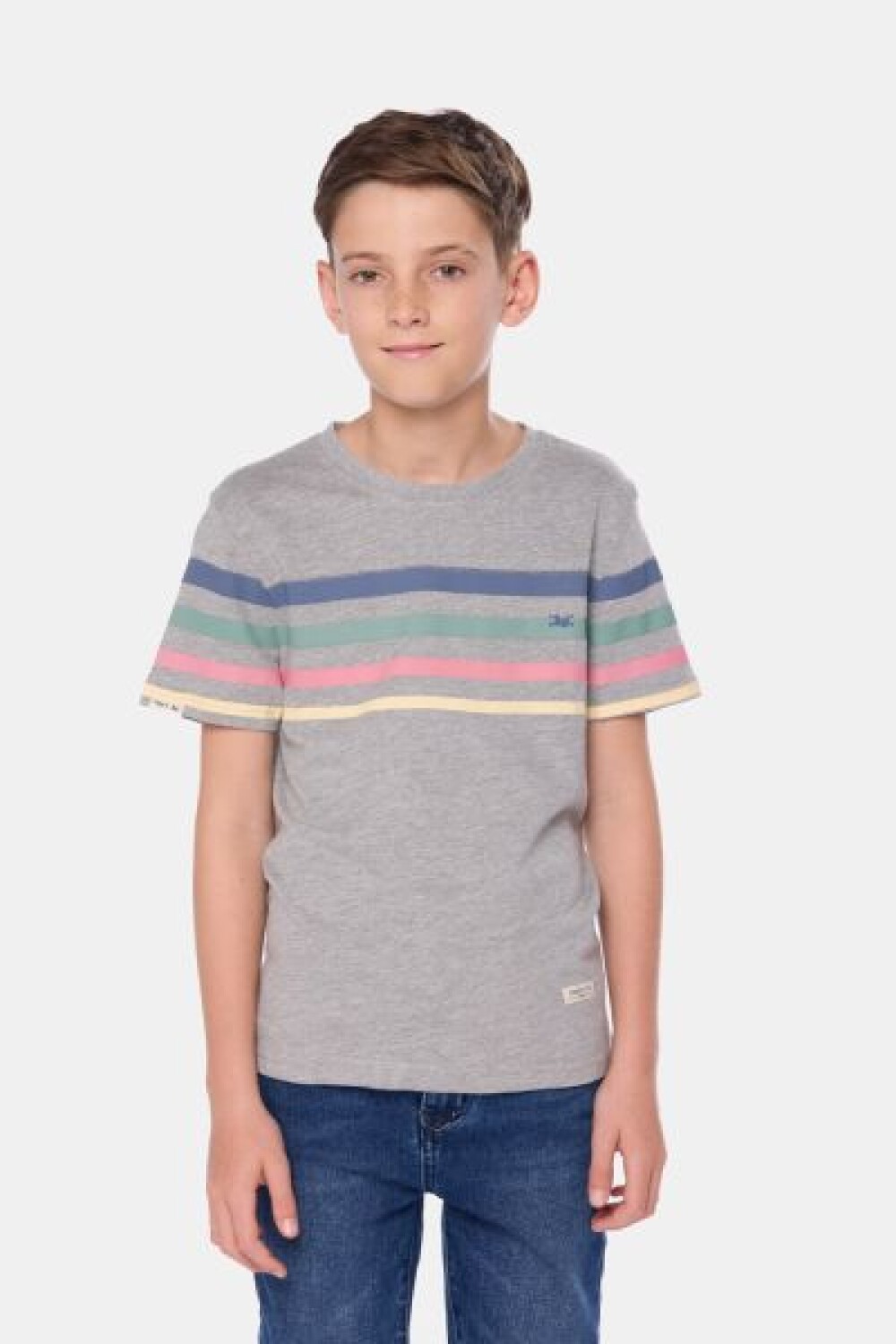 REMERA RAYADA Gris