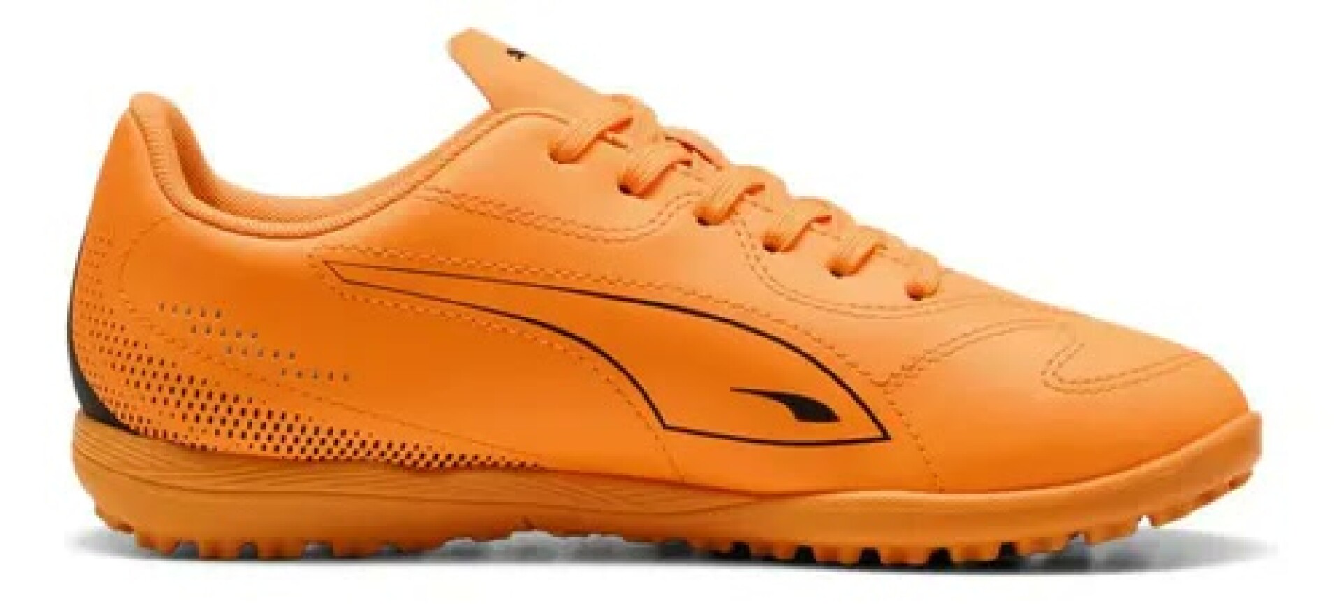 Calzado Puma 108504/03 