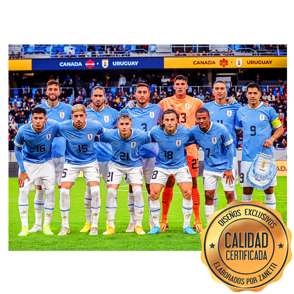 Lámina Uruguay - Selección Copa América Rect. 