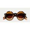 Moscot Zolman Classic Havana