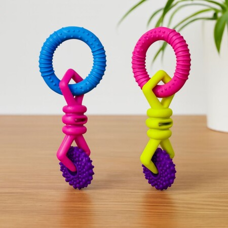 JUGUETE PARA MASCOTA RUEDA JUGUETE PARA MASCOTA RUEDA
