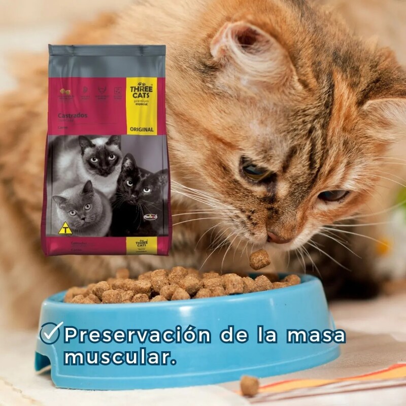 THREE CATS CASTRADOS 15 KILOS
