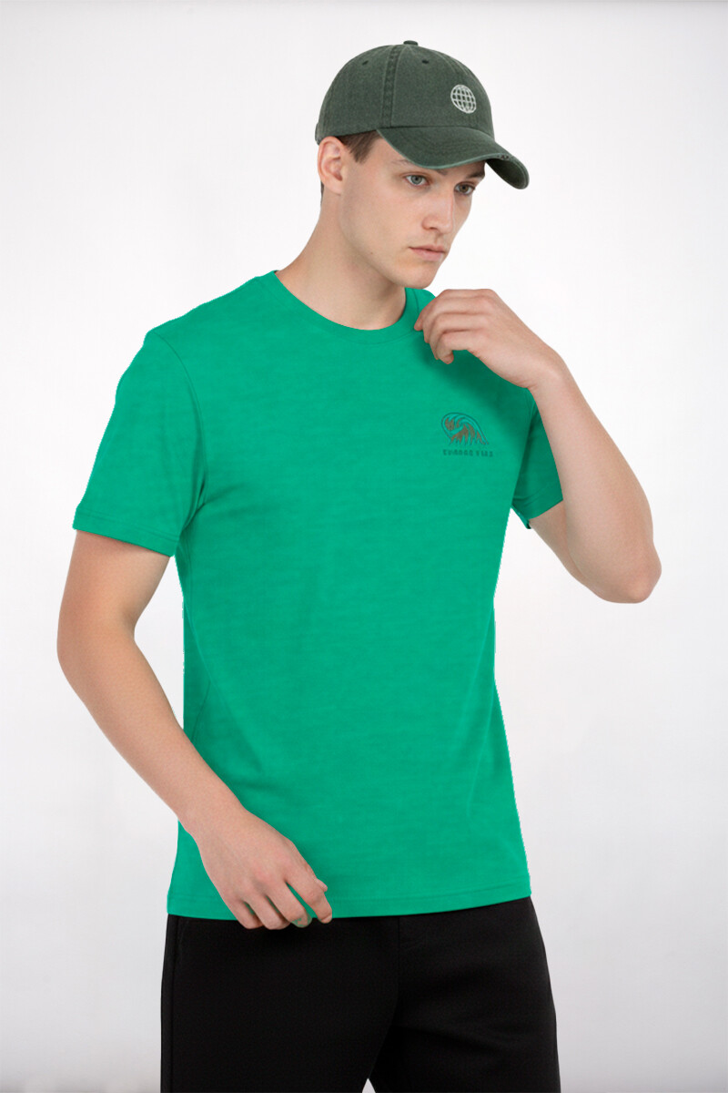 Remera Hobbes - Verde 