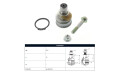 Rotula Del Nissan Sentra B16/Juke/Tiida/Sentra B17 07-25 Der/Izq Rotula Del Nissan Sentra B16/Juke/Tiida/Sentra B17 07-25 Der/Izq