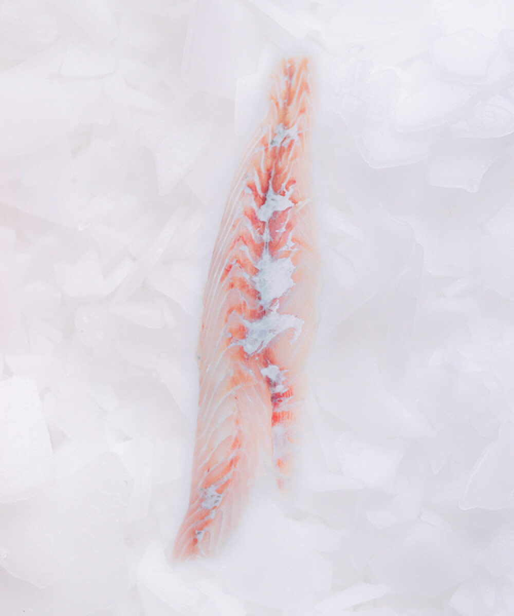 Filete de Corvina - 1Kg 