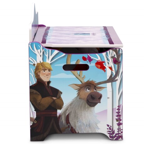 Caja para Juguetes Frozen Disney Deluxe LILA-CELESTE-BLANCO