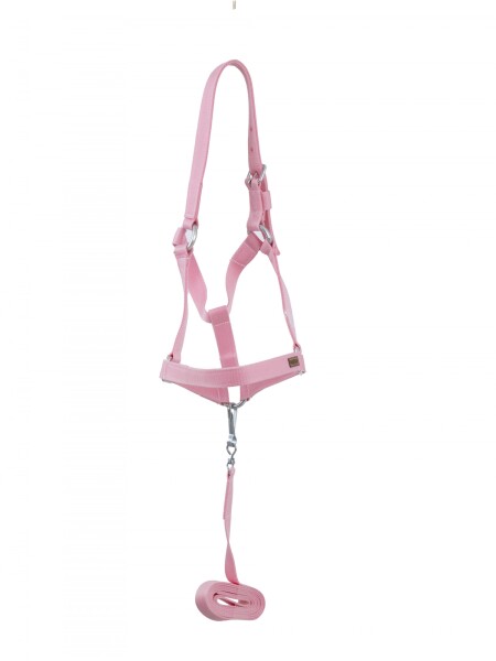 bozal con cabresto de cinta rosado
