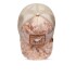 Gorra Goorin Bros Trucker Baseball - Storm Stud Gorra Goorin Bros Trucker Baseball - Storm Stud