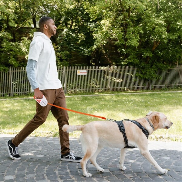 Correa Perro Extensible Retractil Con Luz Paseos 5 Metros Color Variante Naranja