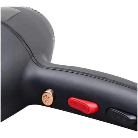 Secador de pelo frío/calor PRO Moser MS-7711 con 2 boquillas Negro